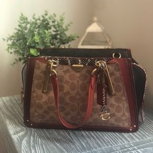 Dreamer In Signature Canvas With Snakeskin Detail